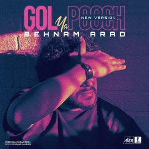 دانلود آهنگ بهنام آراد گل یا پوچ