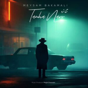 دانلود آهنگ میثم باکمالی تنها نرو