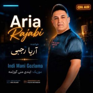 دانلود آهنگ آریا رجبی ایندی منی گوزلمه
