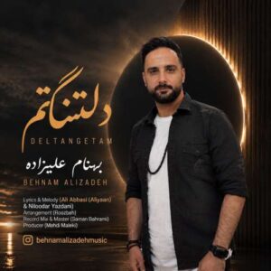 دانلود آهنگ بهنام علیزاده دلتنگتم